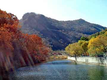 湖北24周能吃打胎药吗（孕24周可以打掉吗）